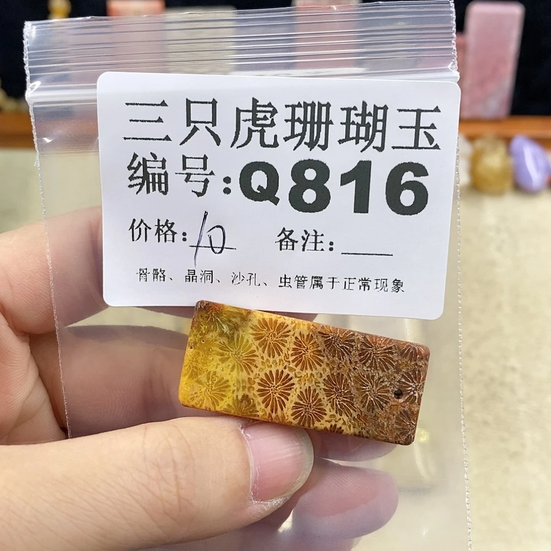 硅化珊瑚（珊瑚玉）1未镶嵌?****