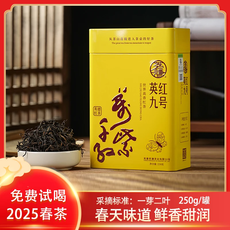 2025年明前春茶英德红茶高端英红九号高香型红茶万紫千红礼盒装