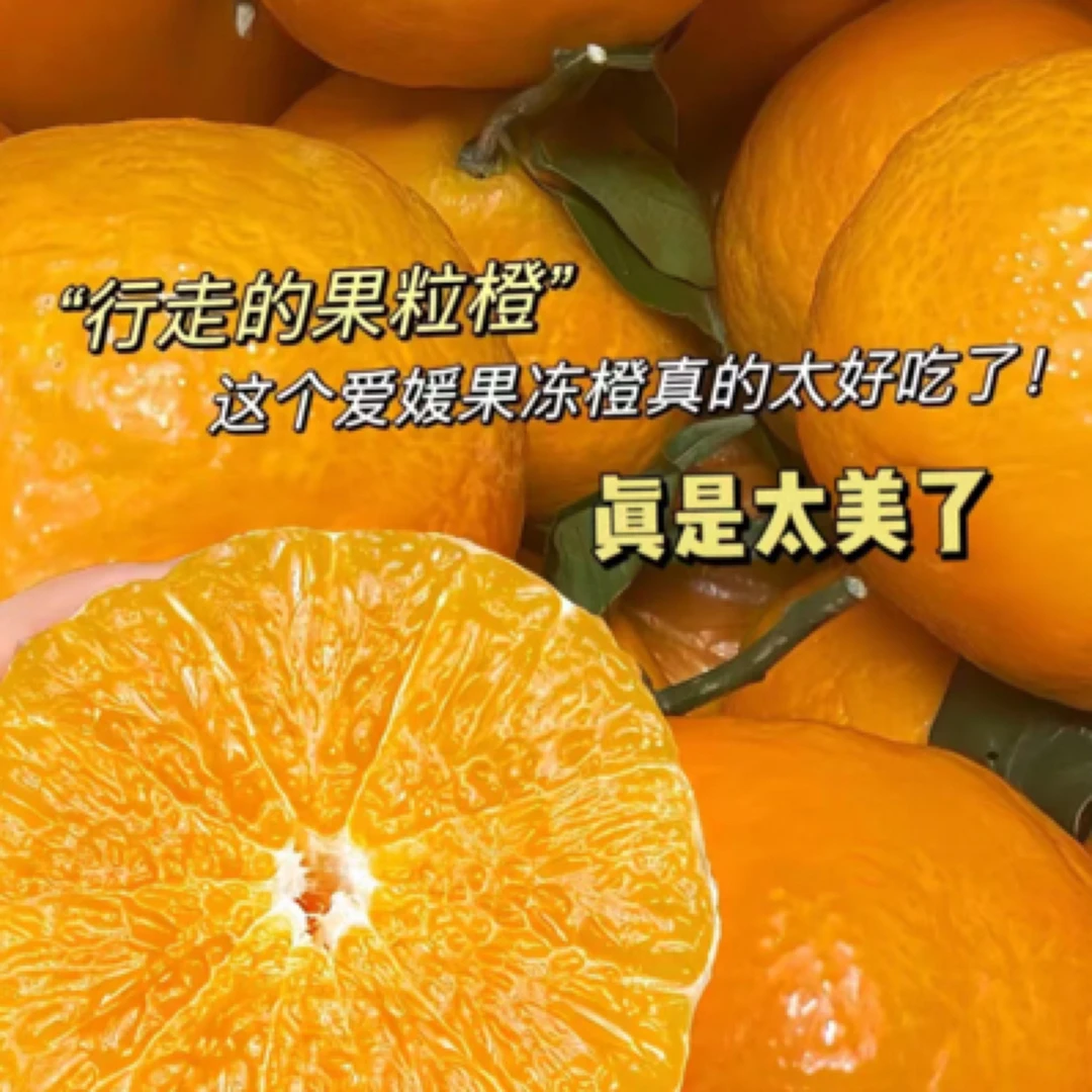 ［同城配送］爱媛果冻橙橘一箱9斤左右四川