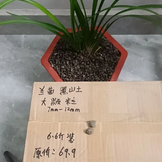纯***然兰菌黑山土大颗粒6.6斤