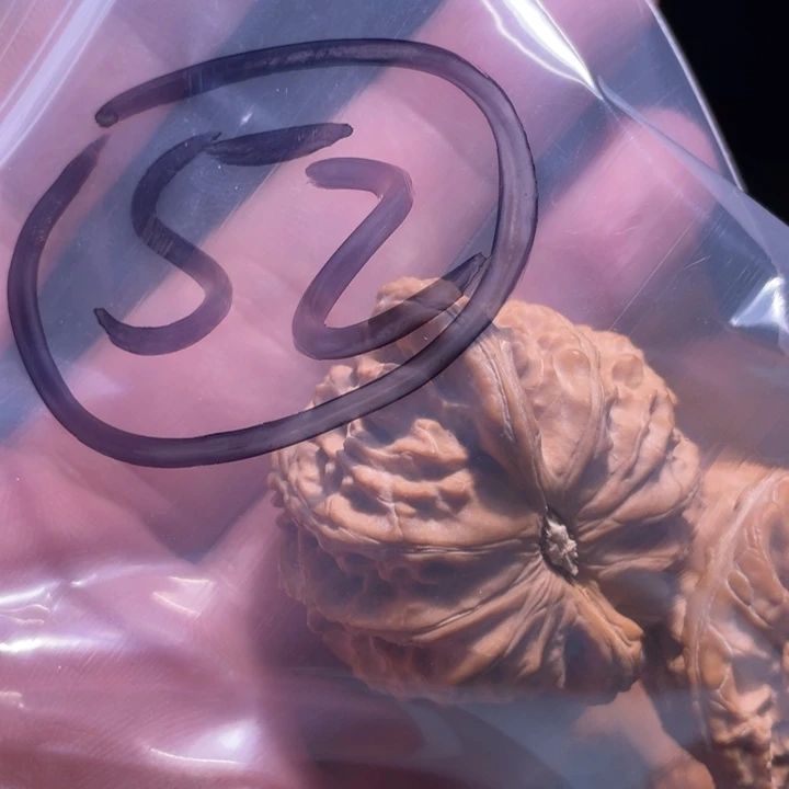 文玩核桃吊坠爱****、52呃呃呃