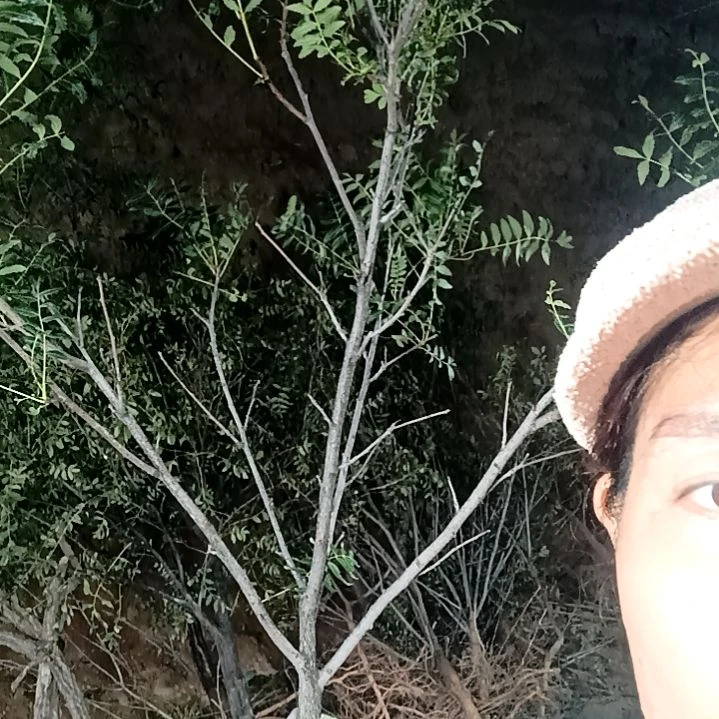 逝***痕完全开放12345678