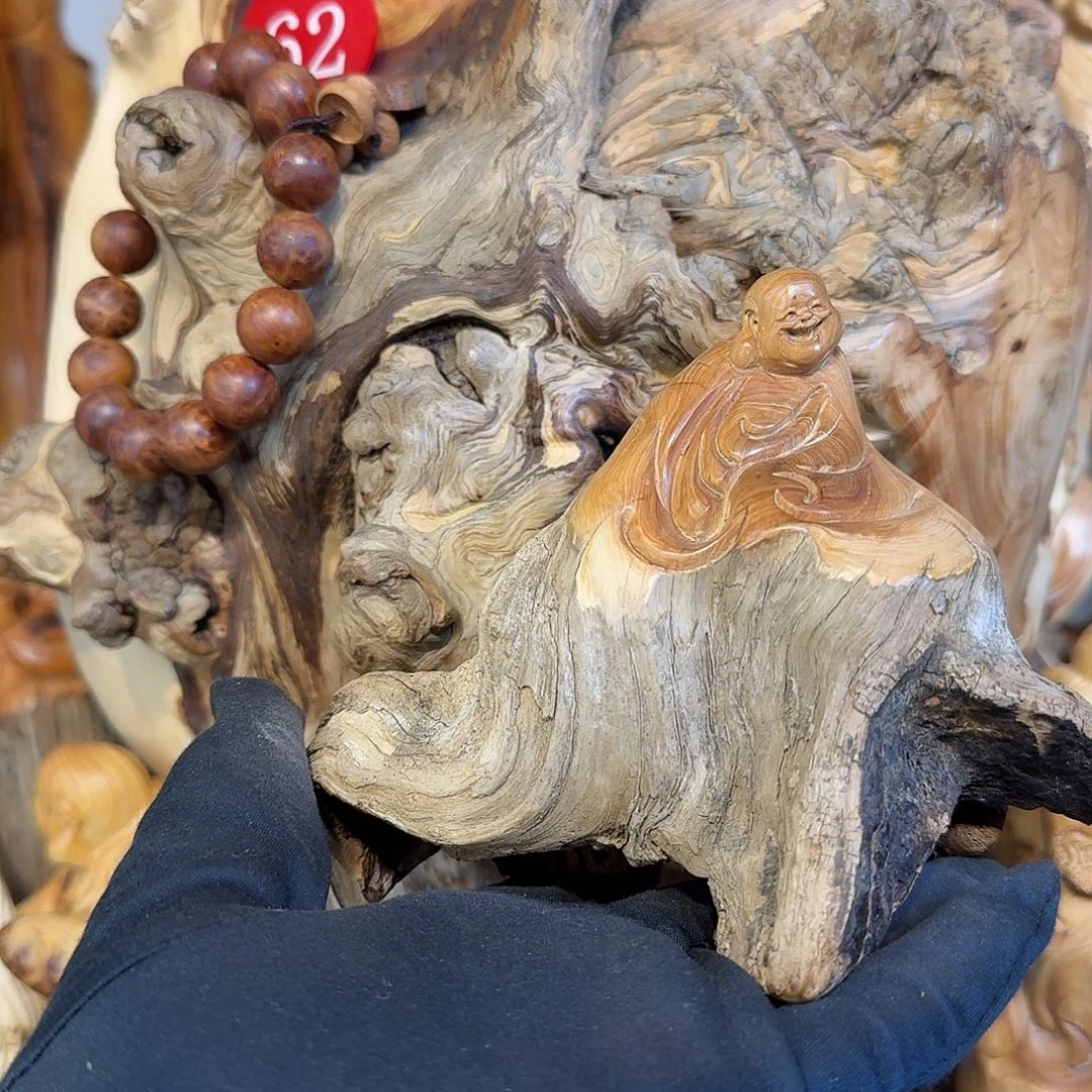 柏木（崖柏）66666666