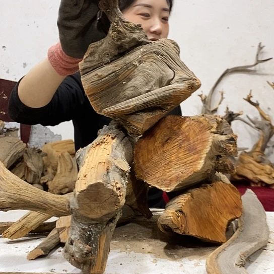 舍***得柏木我们都是好孩子