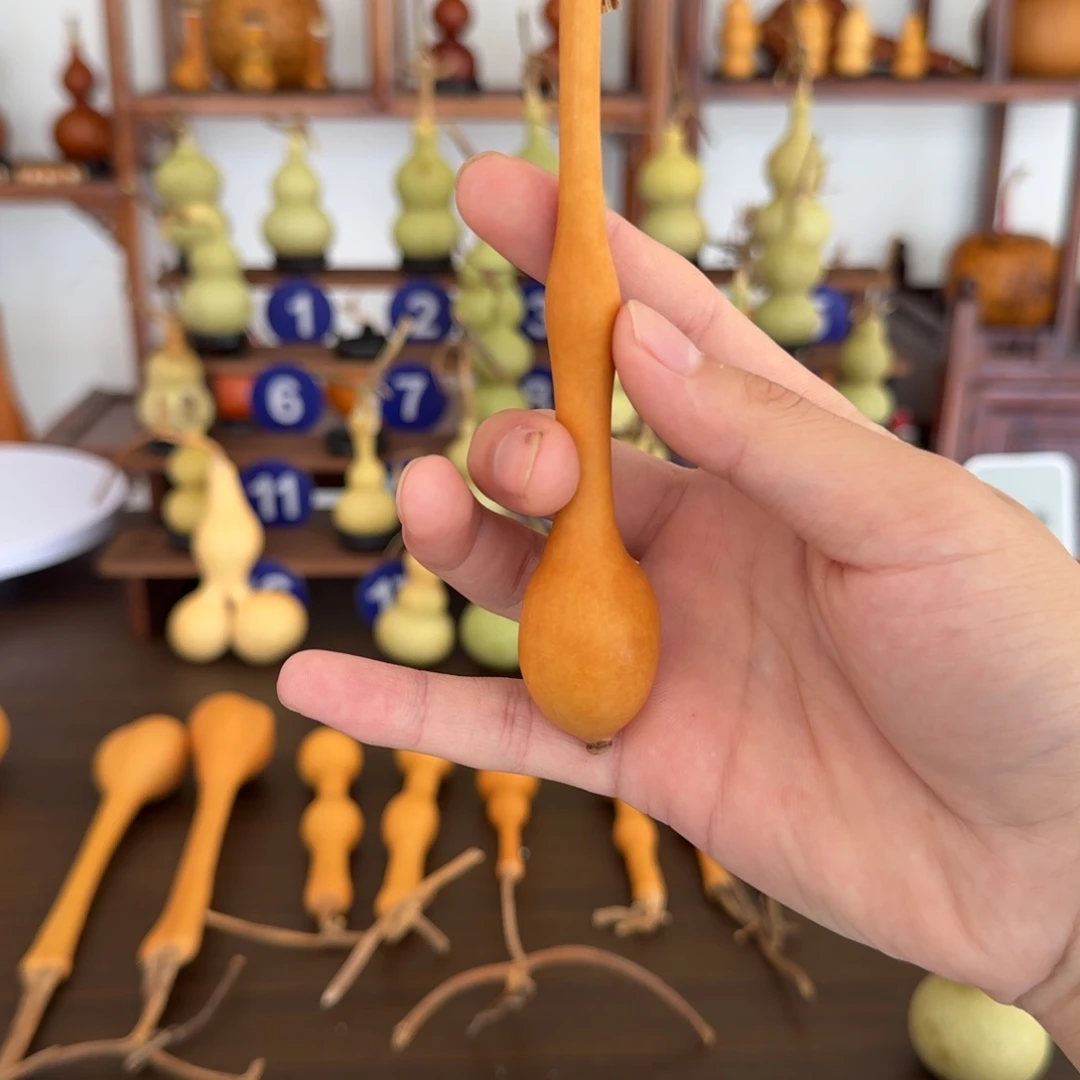 洋***ㅤ精品杆子老皮周正