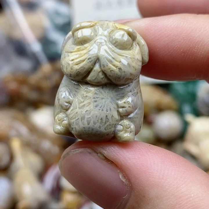 硅化珊瑚（珊瑚玉）未镶嵌颈饰