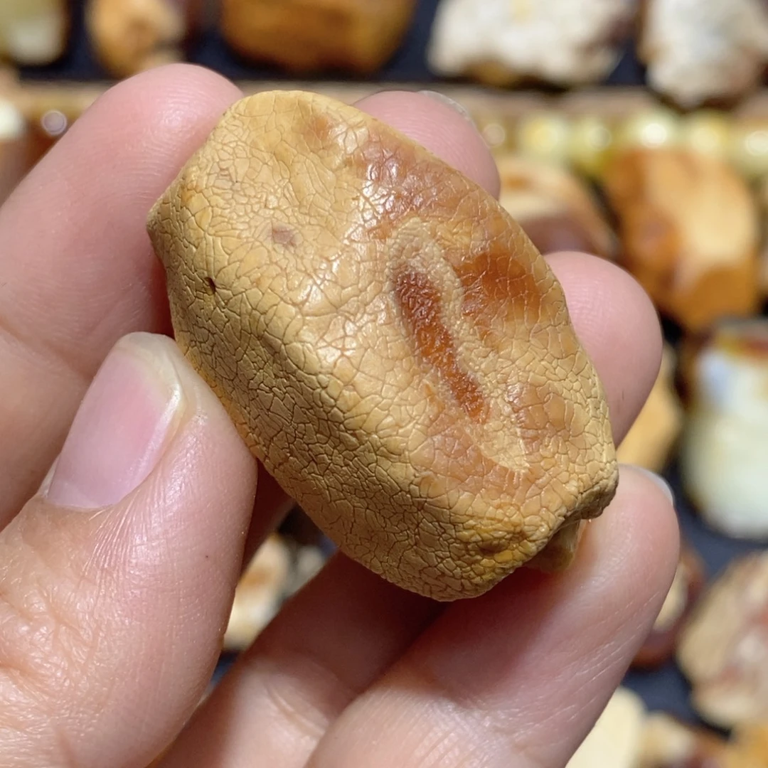 定制琥珀蜜蜡原石