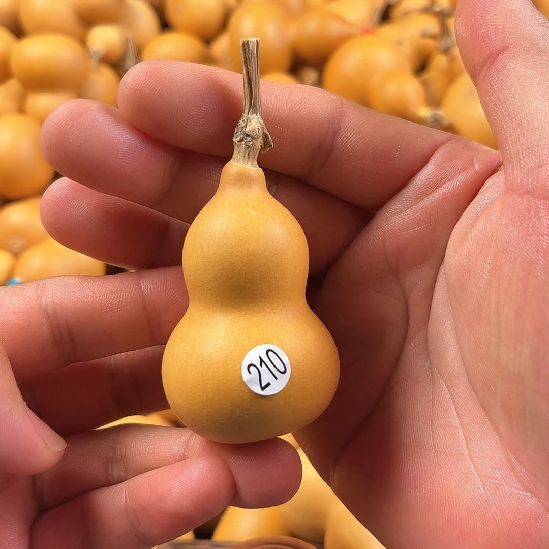 三葫芦葫芦葫芦210