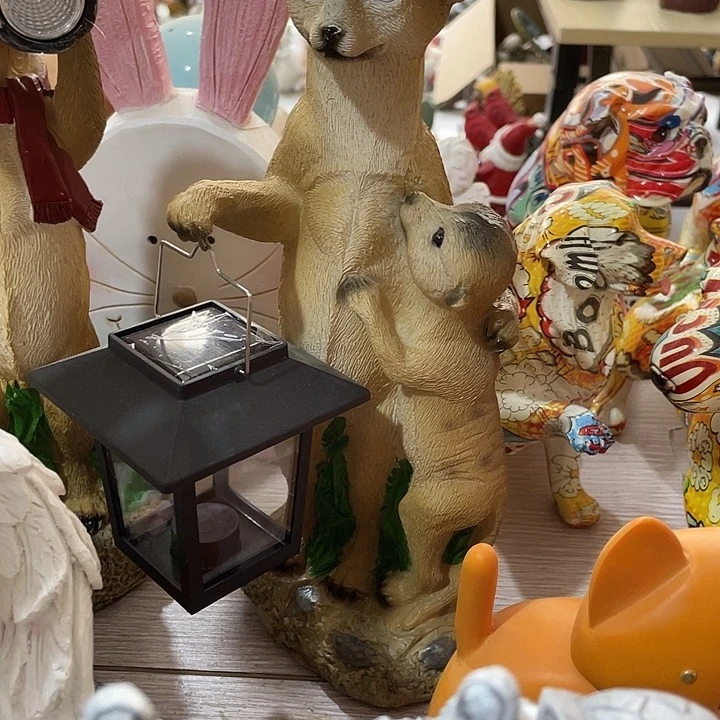 盖碗样品样品提灯鼹鼠