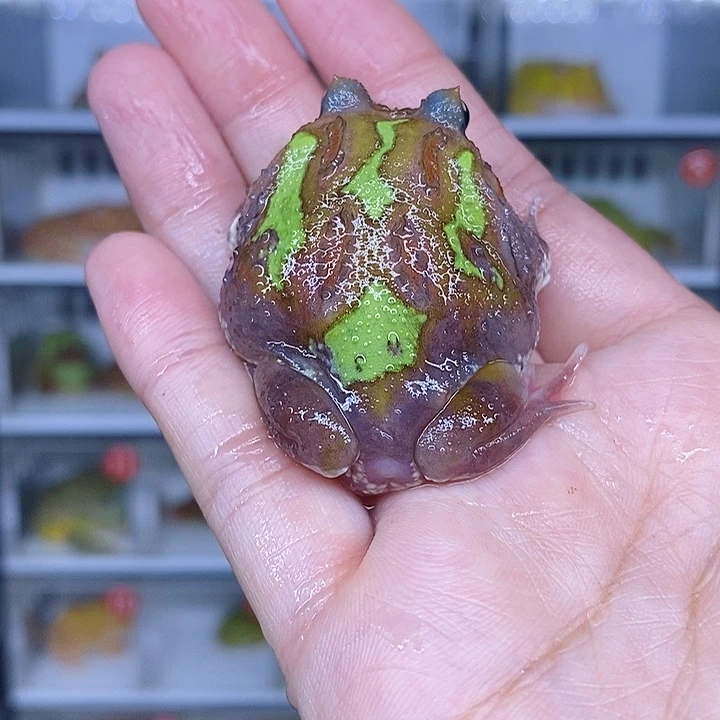 特价秒杀现货特价