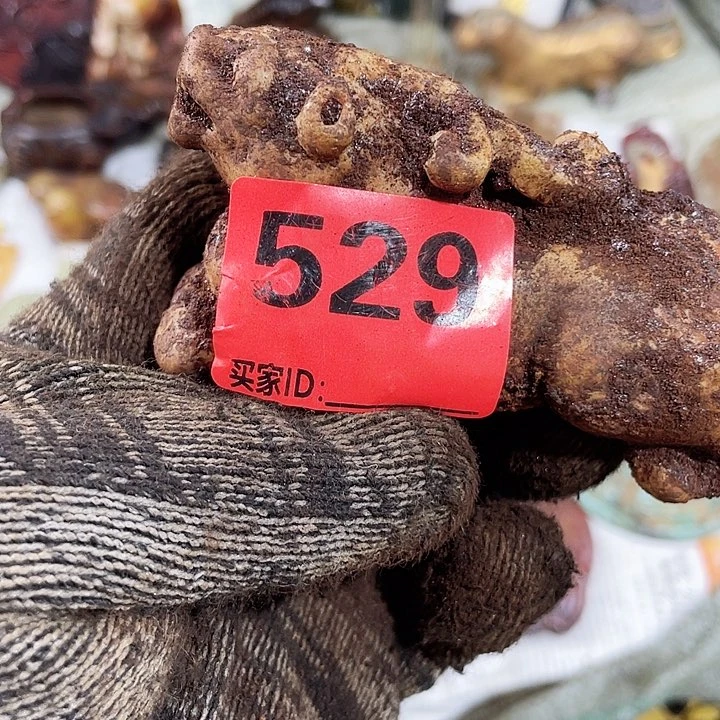 发财发财致富发财玉**房