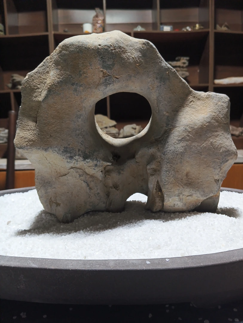 广西南太湖 狗洞黑太湖石创意室内装饰桌面摆设 直播链接一物一拍