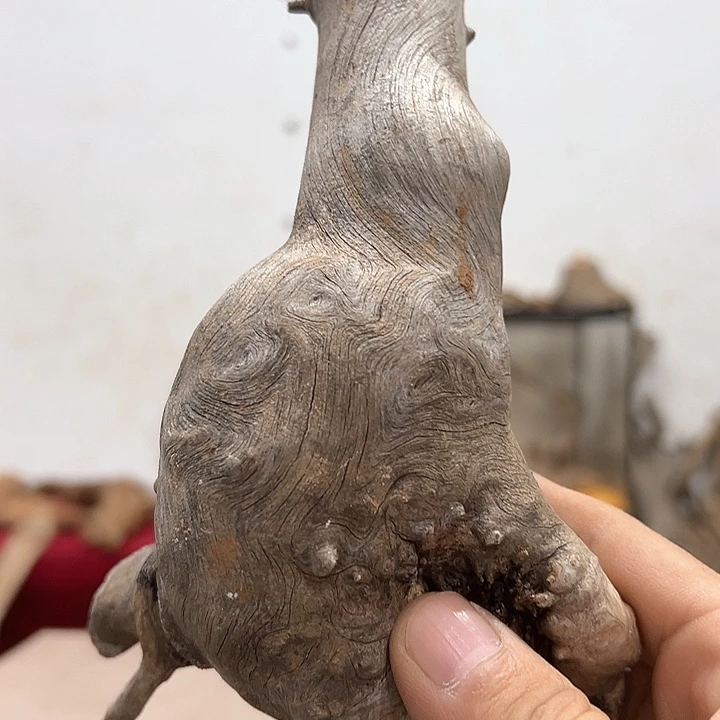 柏木孤*零我们的生活