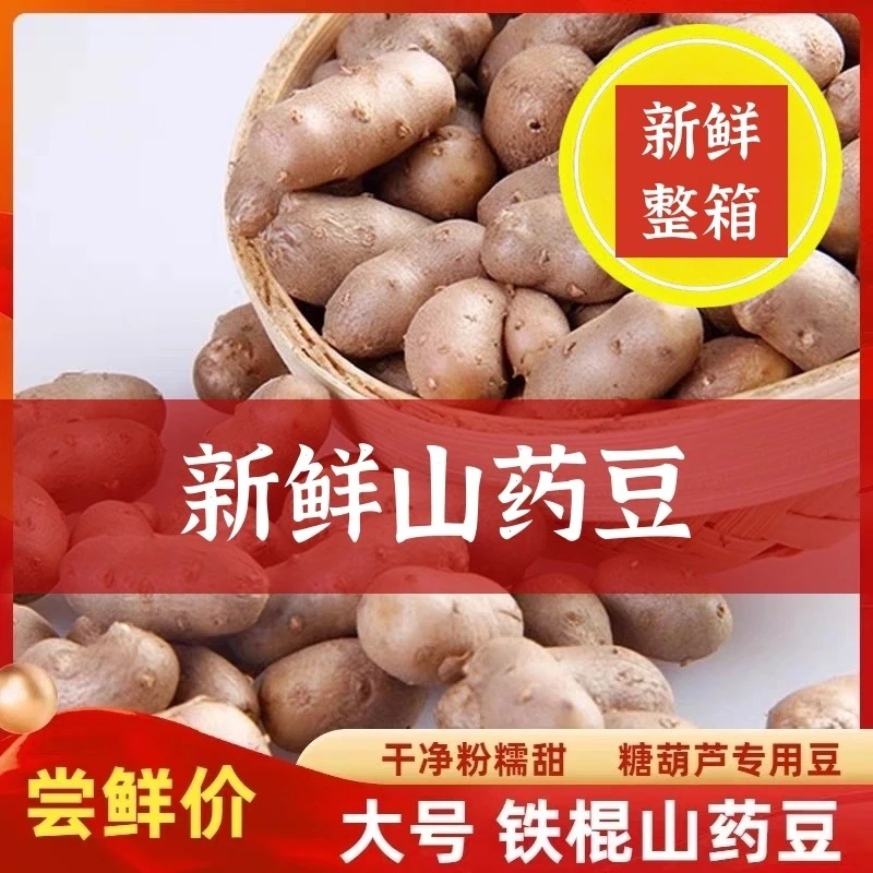 新鲜铁棍山药豆软糯香甜营养丰富老少皆宜