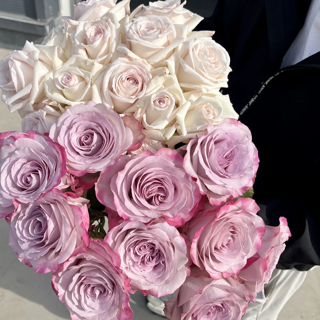 【禾韵山东】气场10枝+伊丽莎白10枝基地鲜切花鲜花同城花材花卉