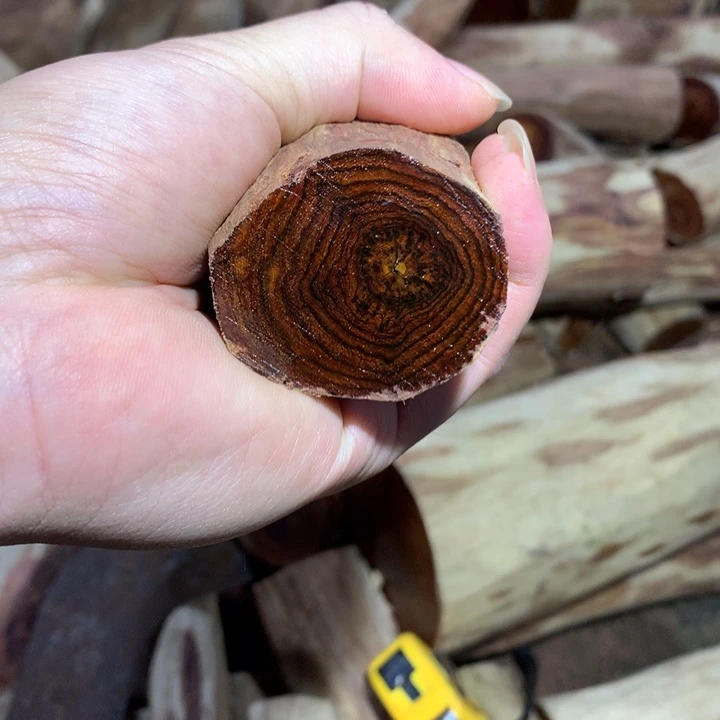 花梨木类海南黄花梨