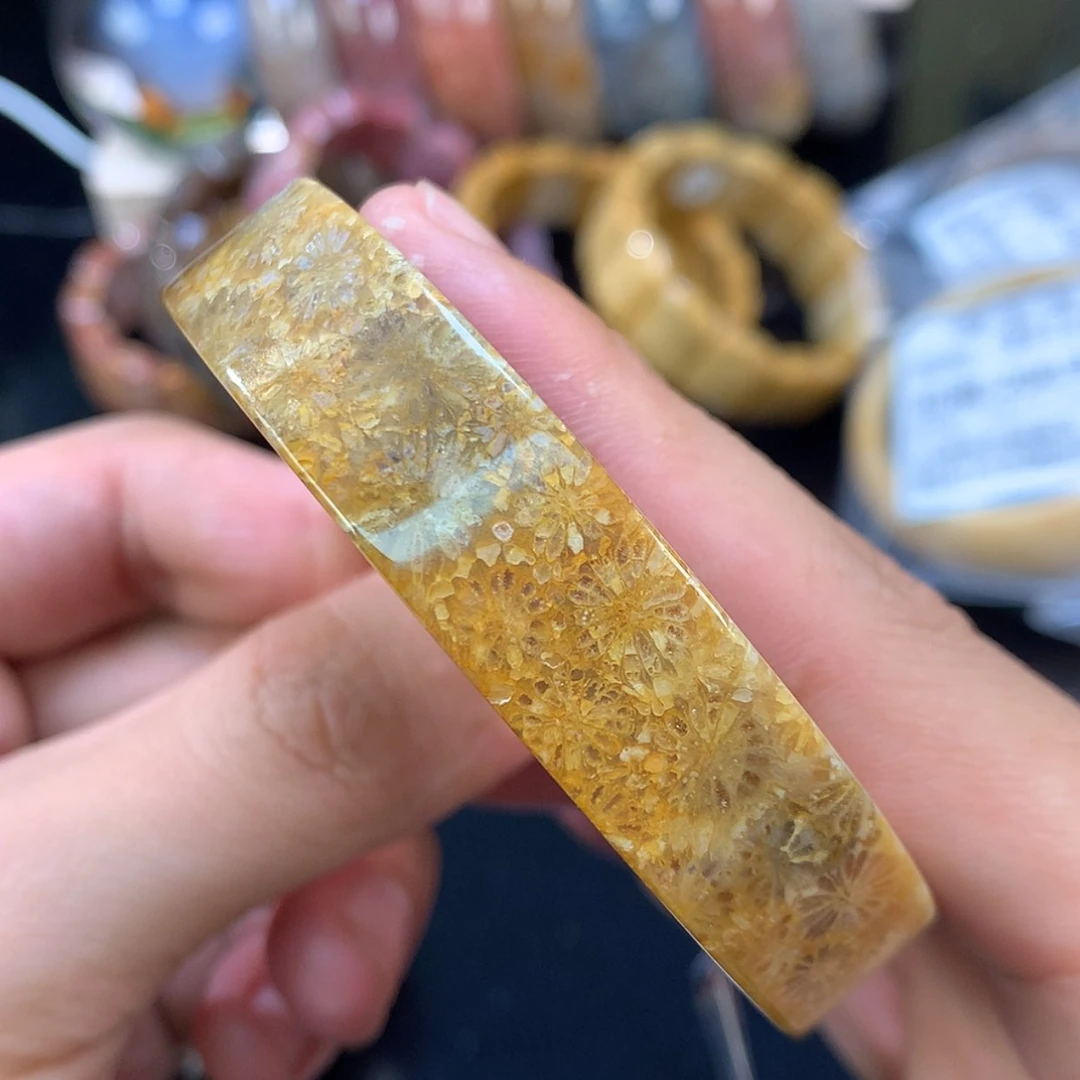 【闪购商品】颈饰未镶嵌硅化珊瑚（珊瑚玉）51号58.6圈双面大花