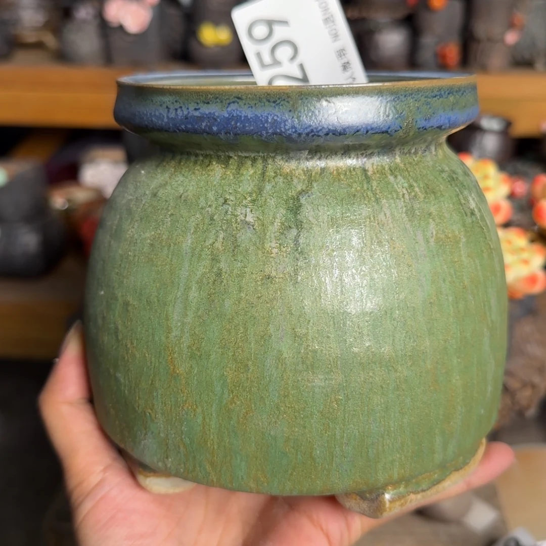 重庆小燕子欢迎大家259