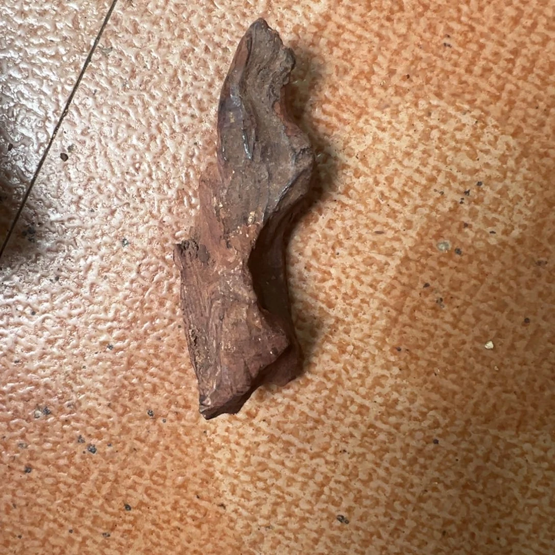 合***司手串/手链黄花梨/降香黄檀