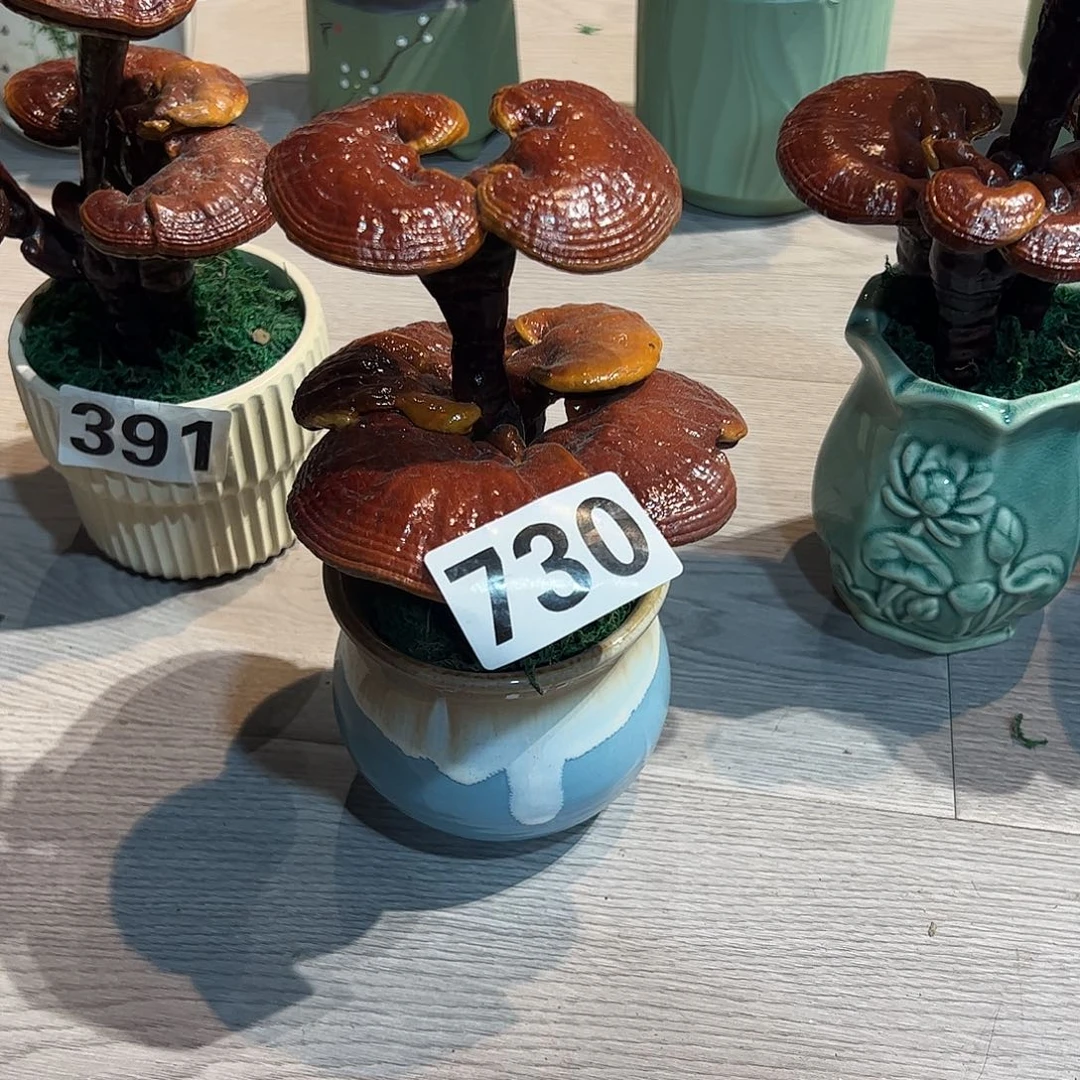 完全开放88888888