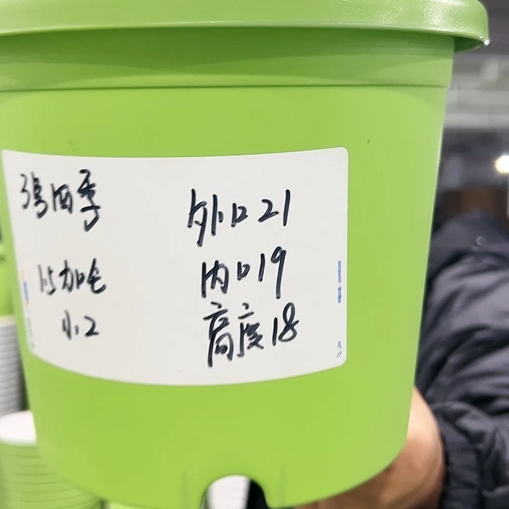 特价3号四季口21高18白色10个无托