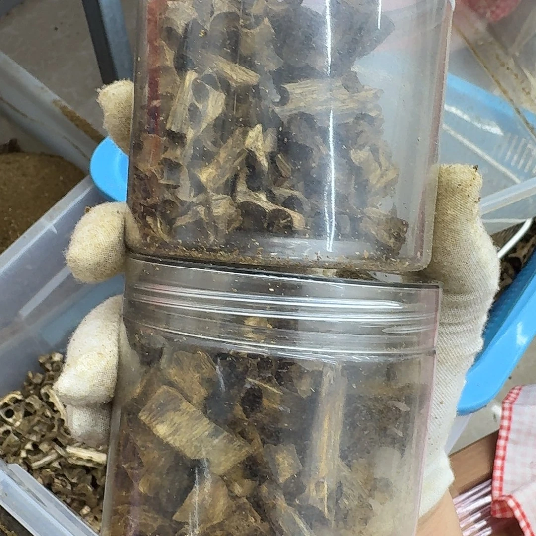 沉香碎屑沉香绿奇楠沉香转孔料100克