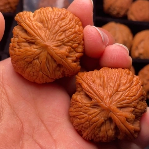 文玩核桃把件秦岭山脉核桃