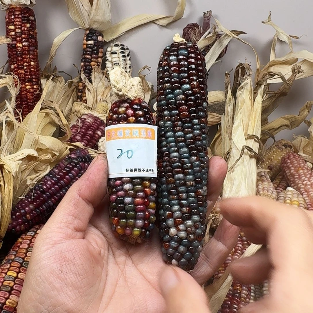 一****柏香籽/百香籽吊坠