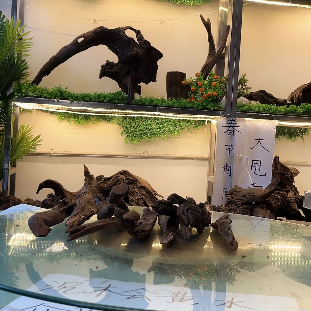柚木沉木鱼缸造景