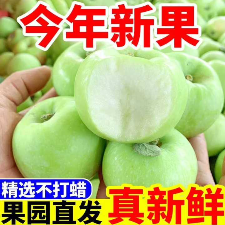 2025头茬沂蒙山青苹果新鲜水果现摘酸甜小绿萍果孕妇水果酸脆爽口