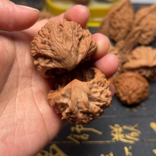 36尺官帽蛇文玩把件