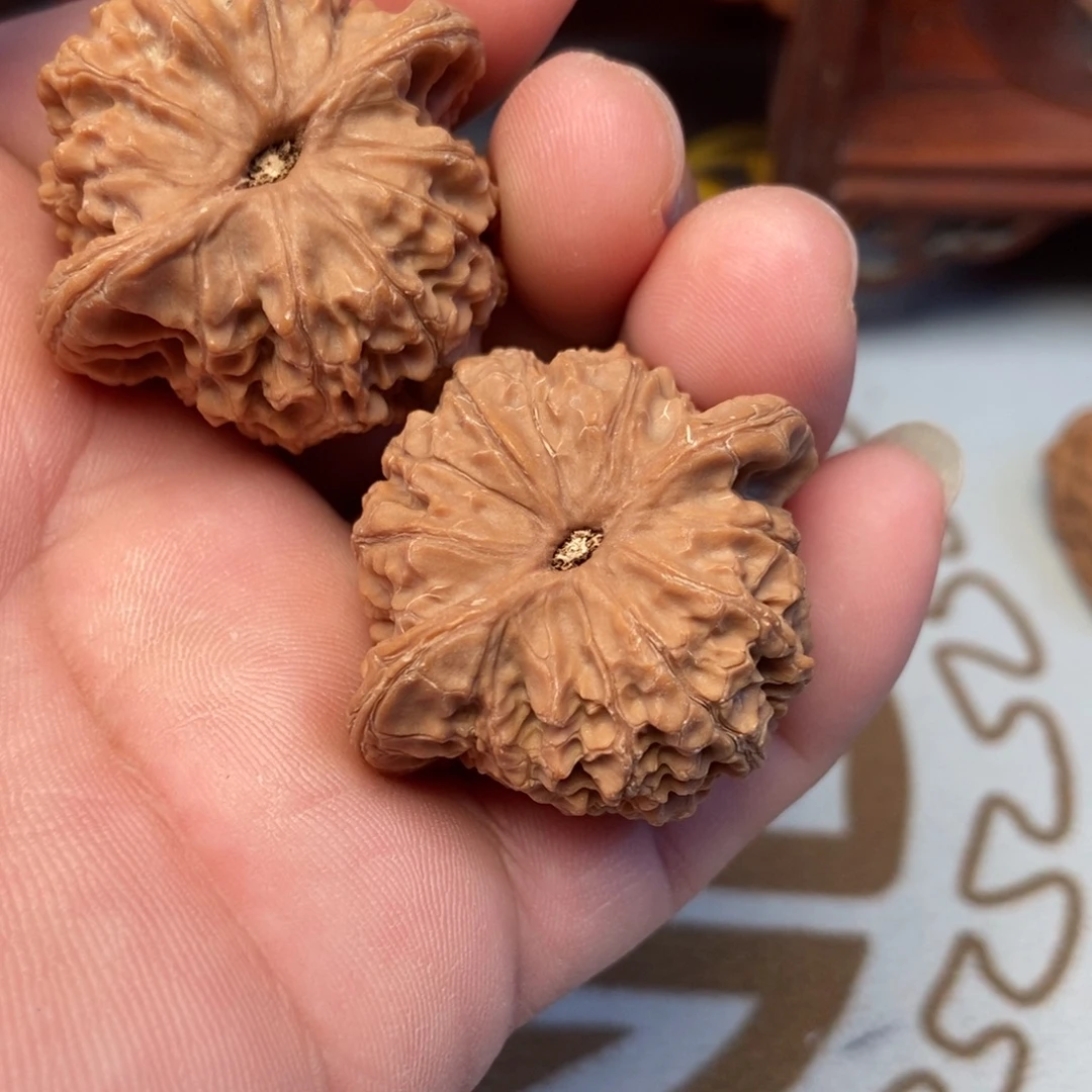 大叶紫檀（黑酸枝木类）血麒麟