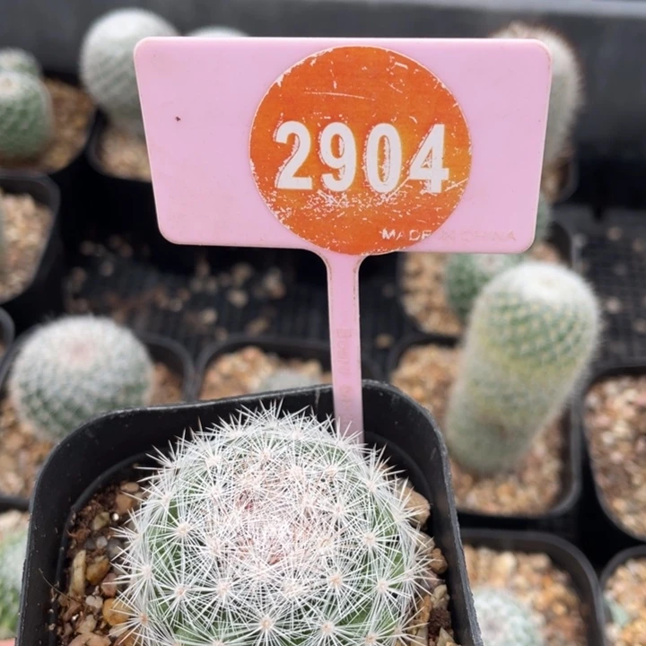 冰****实生满月290400000000