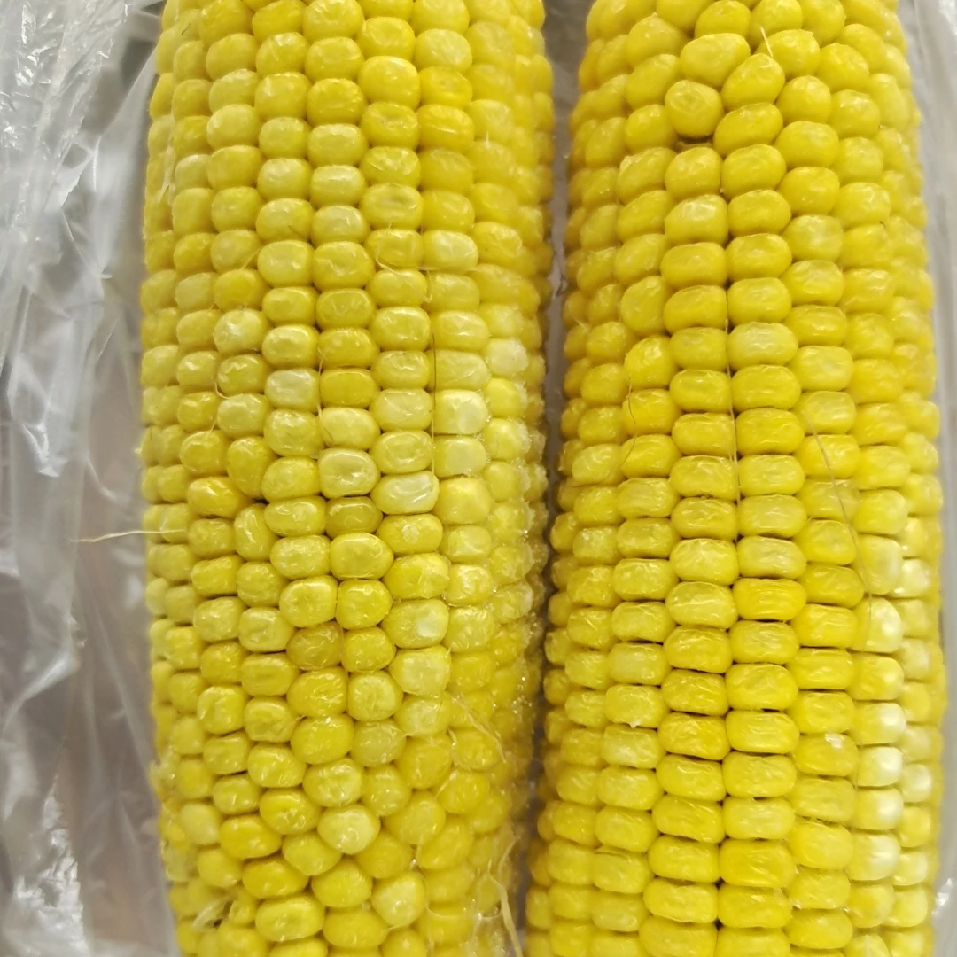 广茂田糯黑玉米 黄玉米