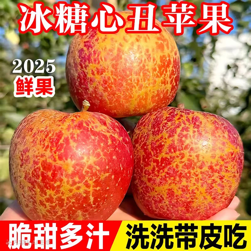 云南昭通丑苹果红露苹果脆甜丑苹果冰糖心云南丑苹果昭通糖心苹果