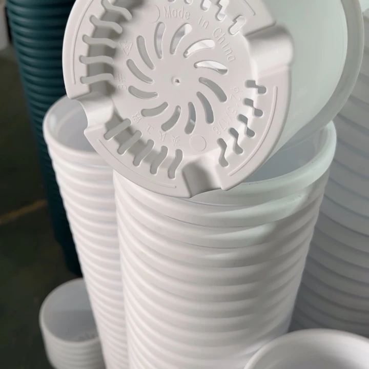 四季3号10个白色的