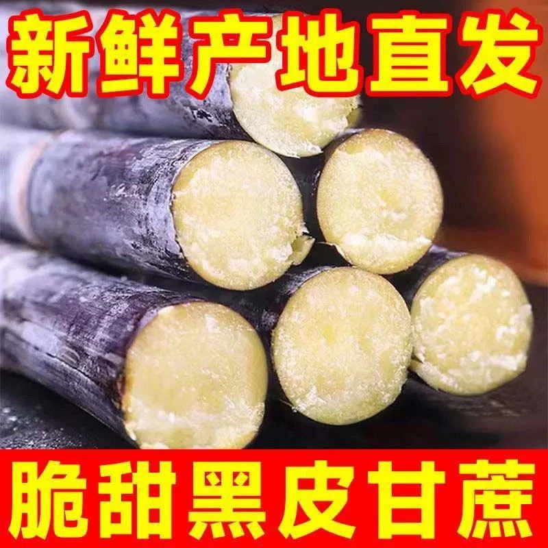 广西黑皮甘蔗应季新鲜现砍清甜多汁水果甘蔗
