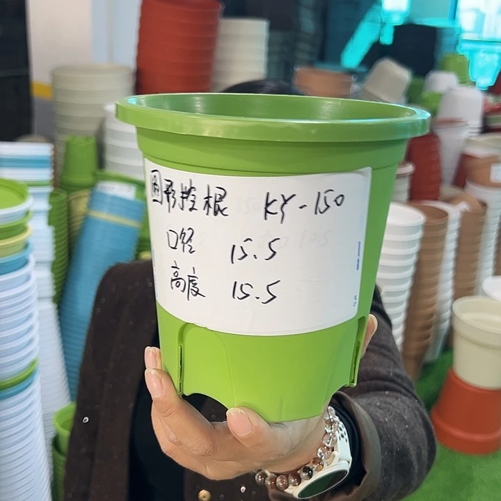 正品圆控口15高15果绿无托10只