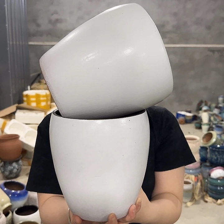 啊啦啦啦啦啦啦啦