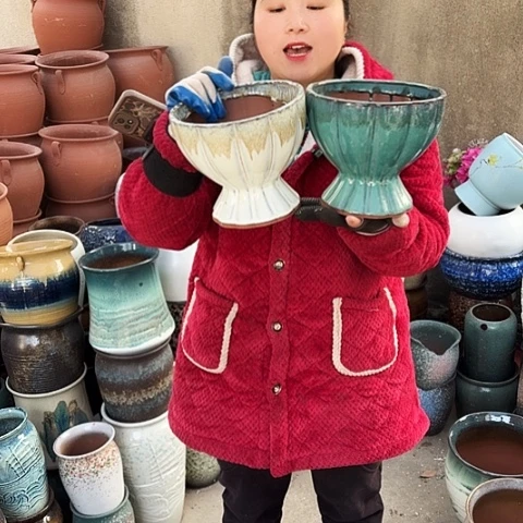 口20高17盆子盆子。