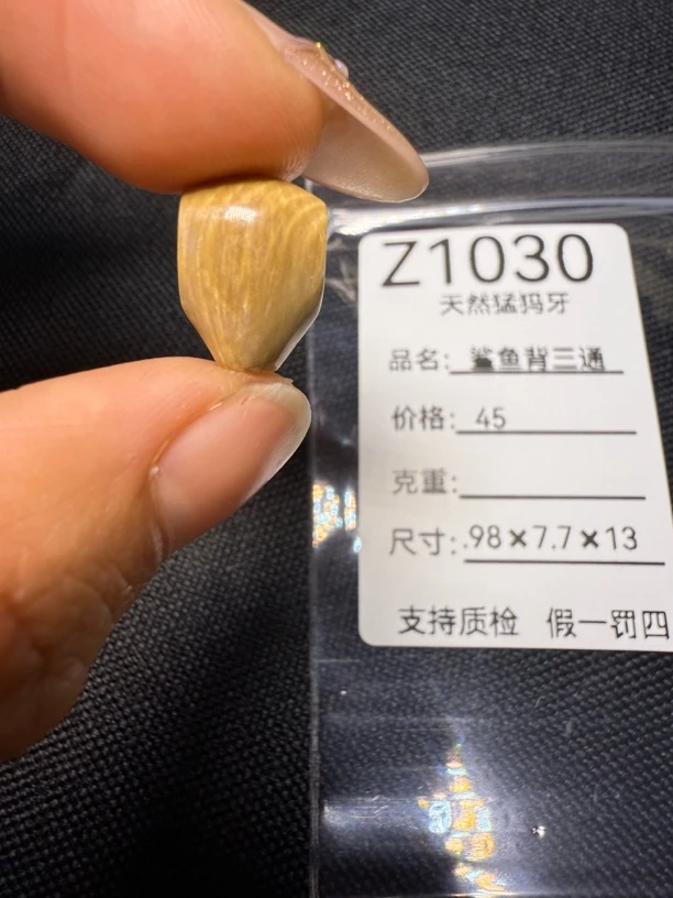 Z1030天然猛犸牙鲨鱼背三通配饰