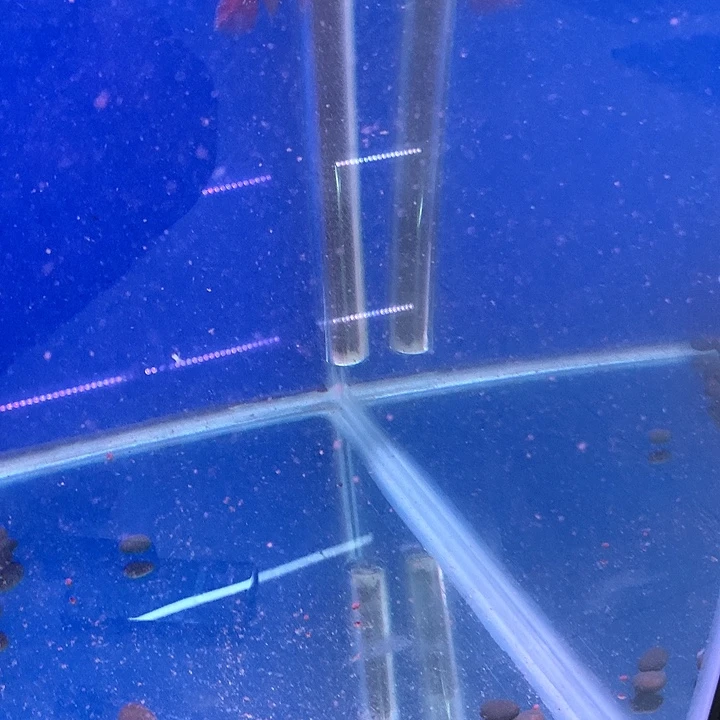 一***人海水鱼222222222222