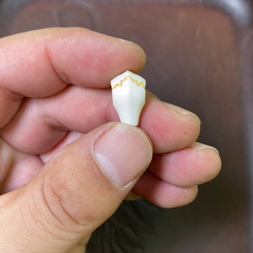 手串/手链驼骨配饰64