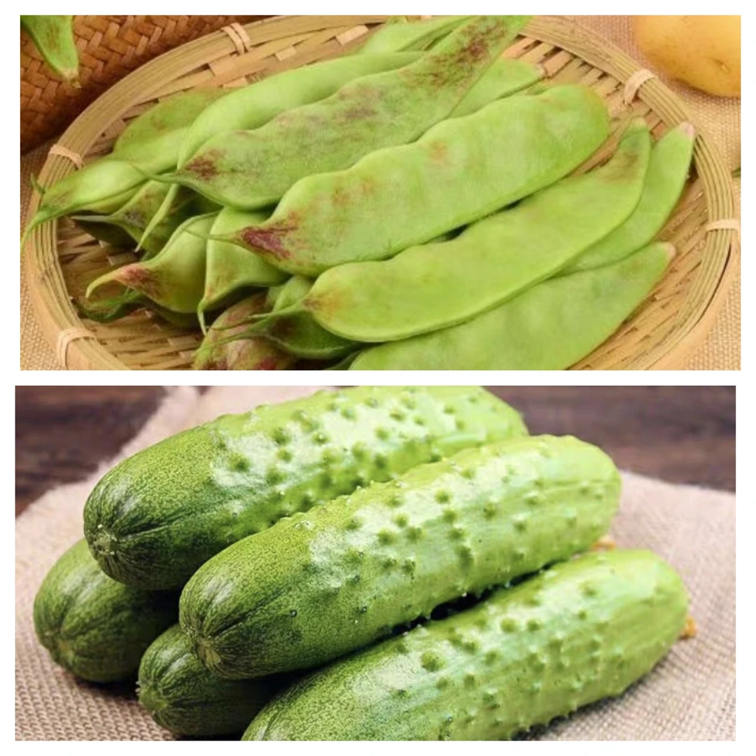 叁叔甄选【油豆角3斤+旱黄瓜2斤】蔬菜组合净重5斤现摘现发顺丰包邮