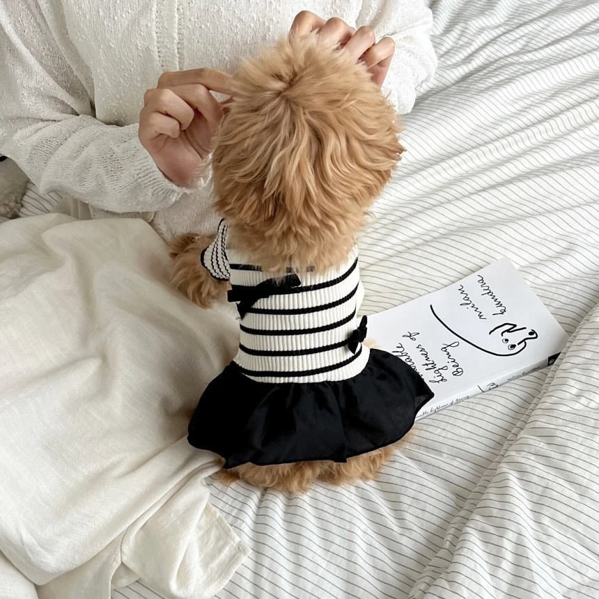 条纹短袖狗狗猫咪背心夏季新款裙子泰迪博美约克夏比熊狗宠物衣服