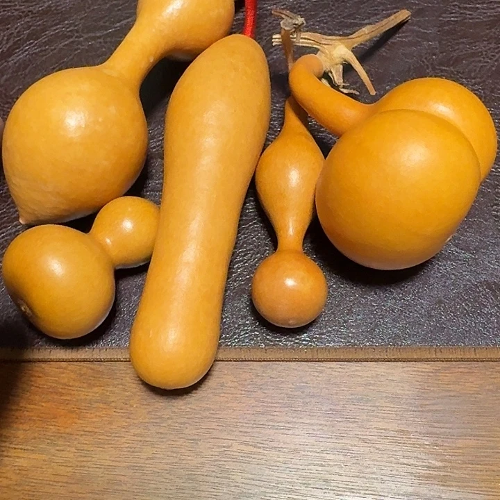 大***゜小郝杯子杯子杯子杯子