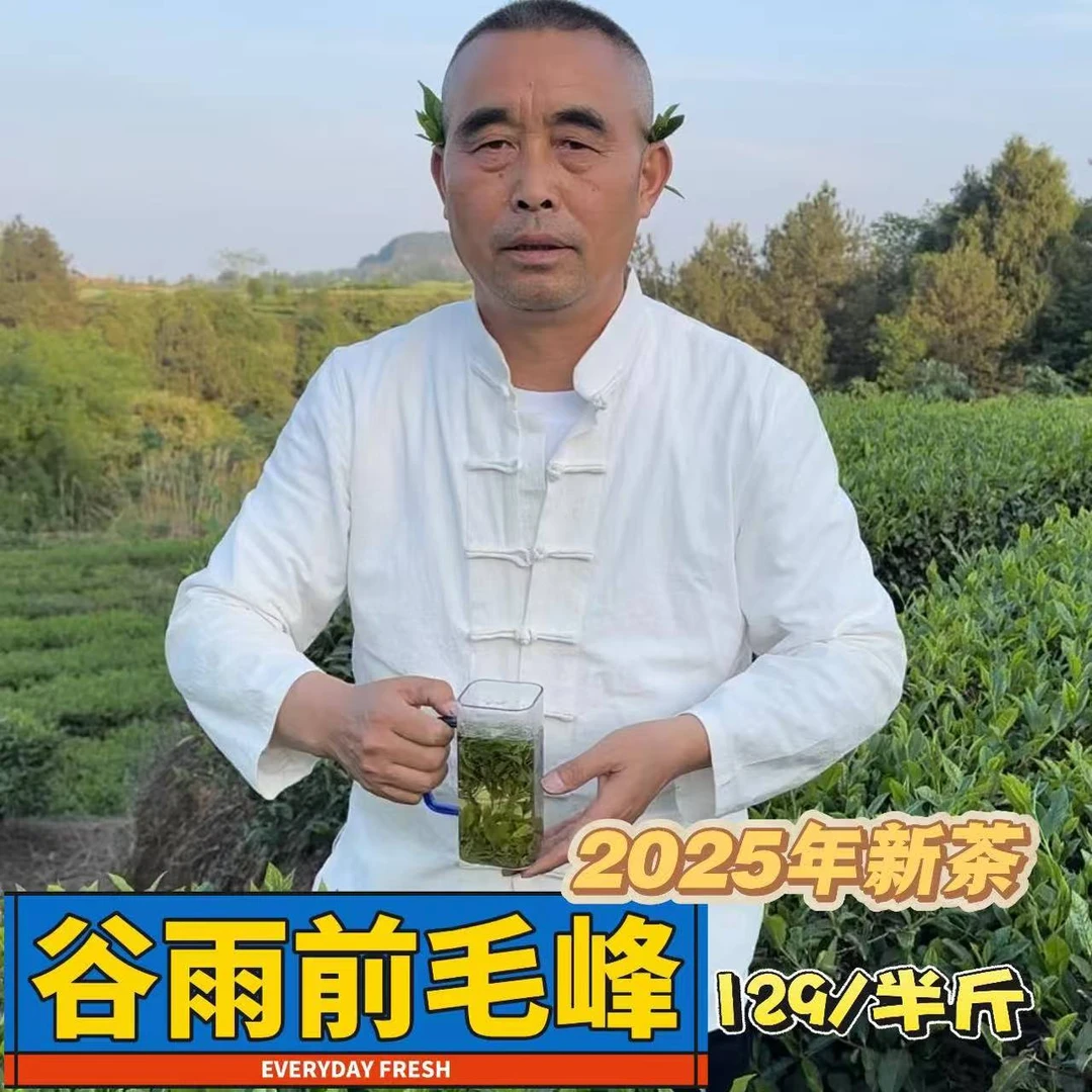 2025春茶谷雨前大巴山正宗高山绿茶卷毛峰厂家直销