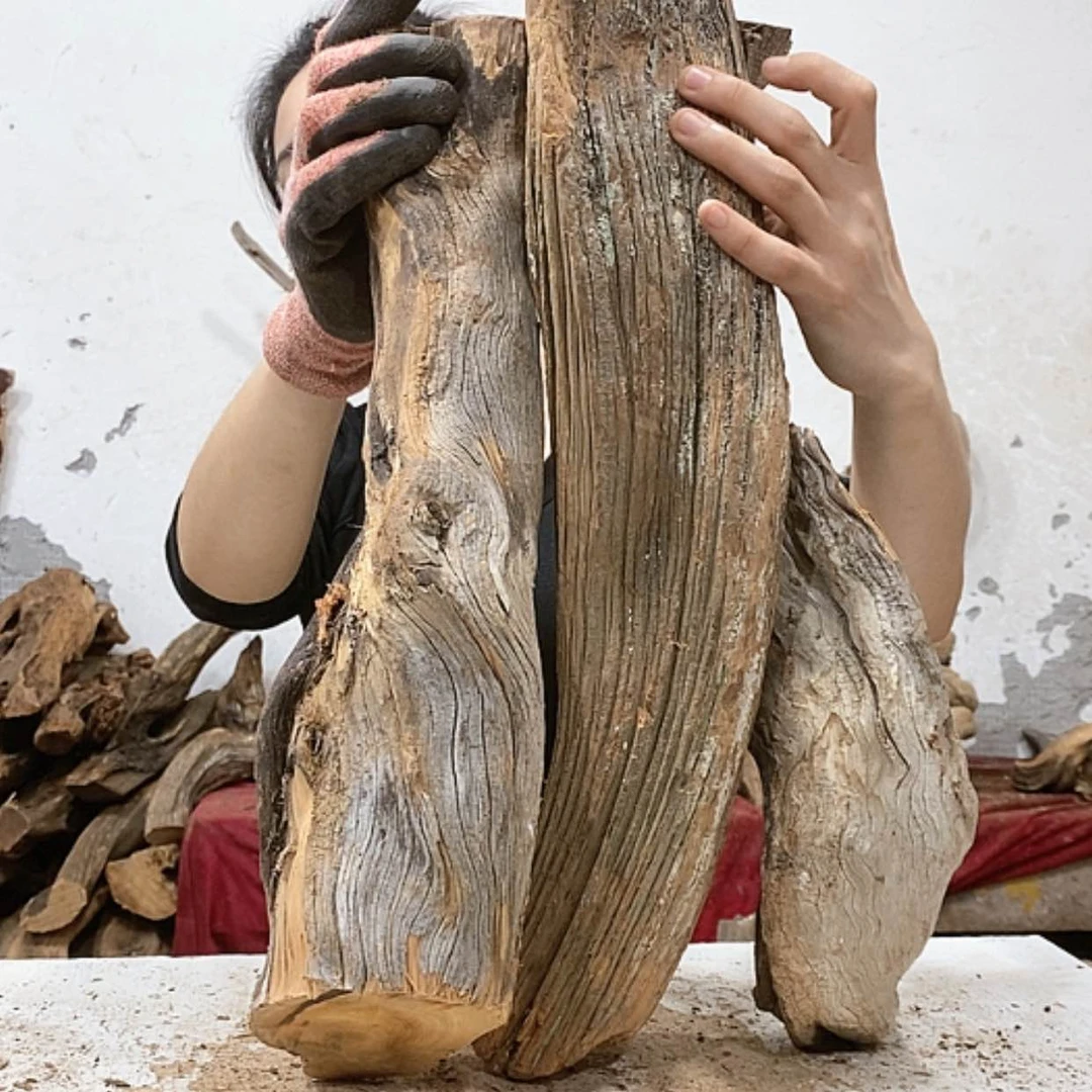 【闪购商品】柏木熟****?我们都是好孩子