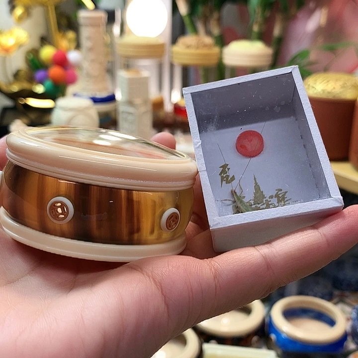金***鲤带柬埔寨竹蛉啊啊啊啊啊啊