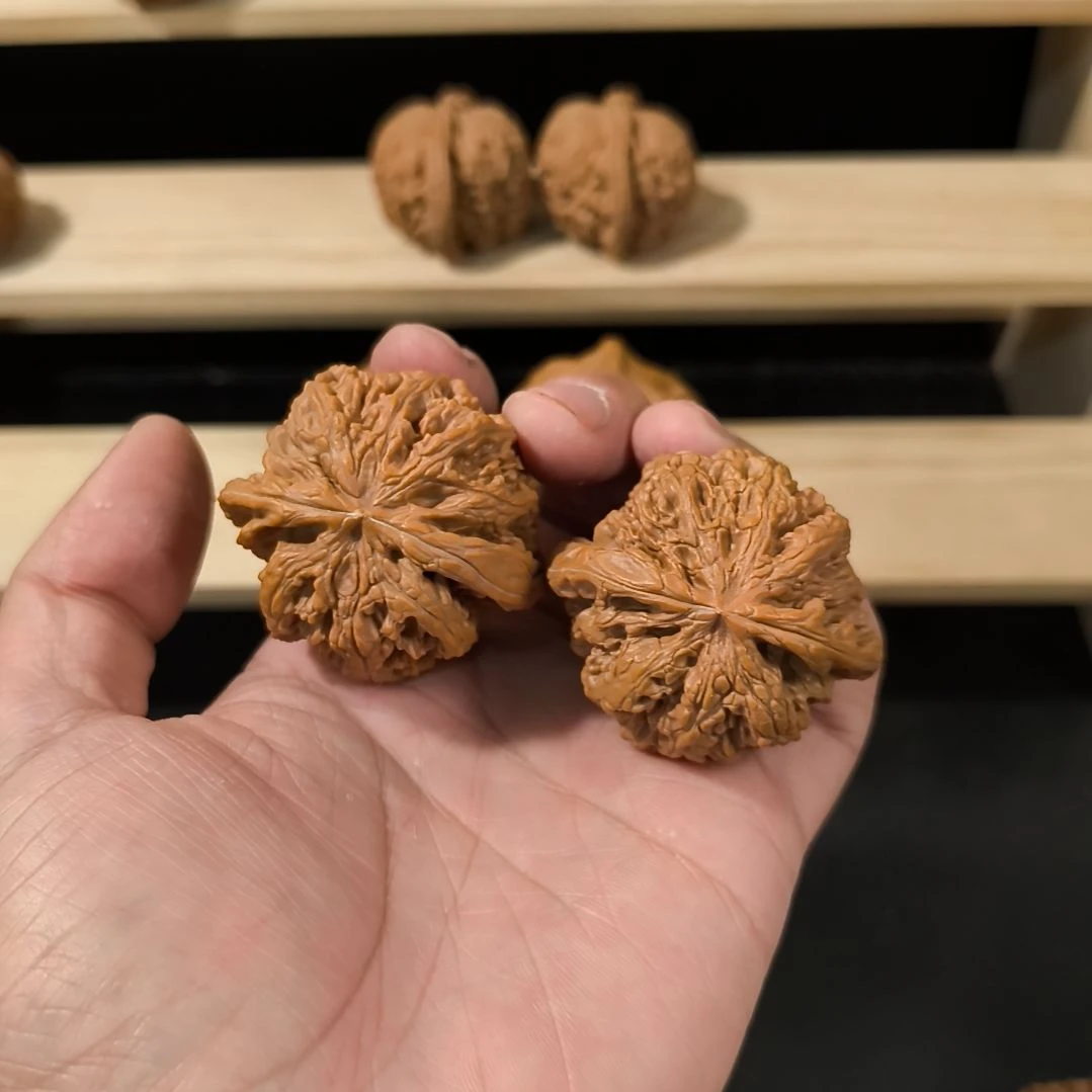 文玩核桃吊坠47粗筋